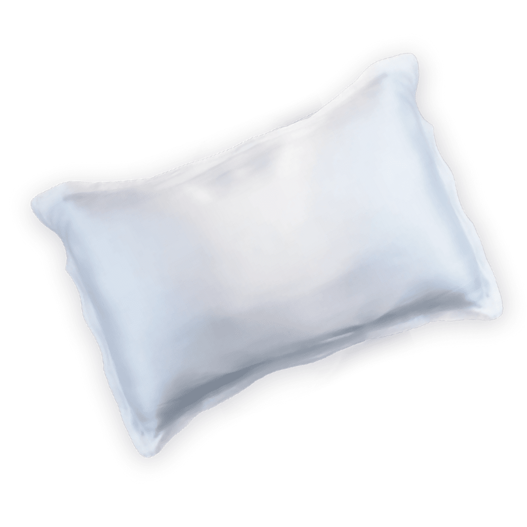 Pump Mulberry Silk Pillow Case White *includes box*